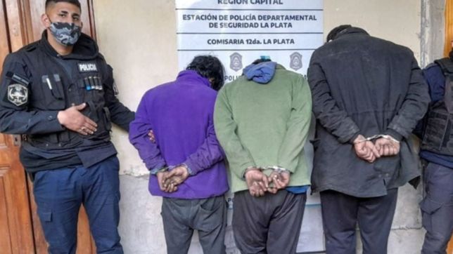 golpe a los robacables: atraparon a tres hombres en pleno robo en villa elisa