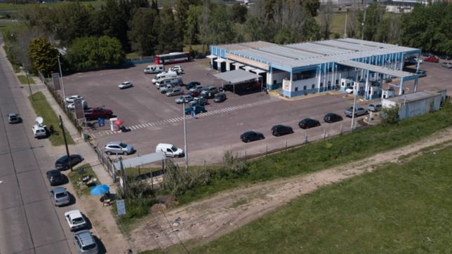 ¿se te vencio la vtv? este es el cronograma oficial para renovarla a partir de noviembre