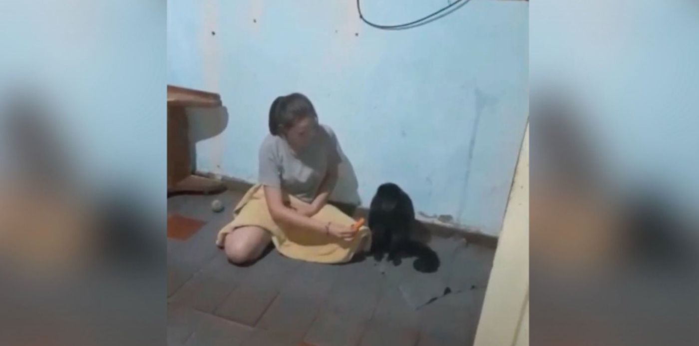 1640460867328.jpg?x=23&y=10&width=1454&height=727&rotate=0&scaleX=1&scaleY=1&ow=1500&oh=742&&cw=1920&ch=950