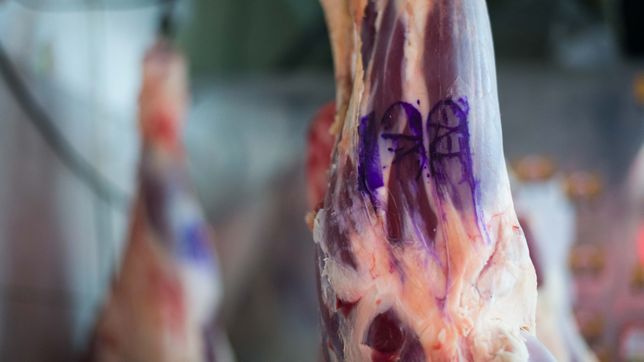 entraron a robar a una carniceria de la plata y escaparon con 40 kilos de carne