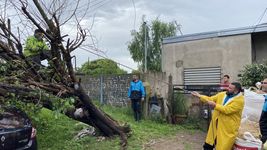 el fuerte temporal afecto a berisso y ensenada con caida de arboles y destrozos el fuerte temporal afecto a berisso y ensenada con caida de arboles y destrozos