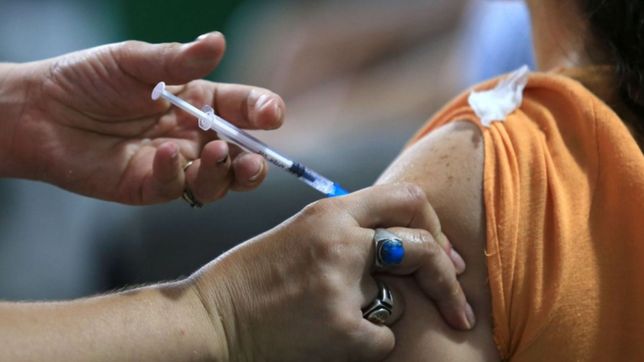 aceleran la aplicacion de refuerzos para evitar un pico de casos de covid-19 a fin de ano