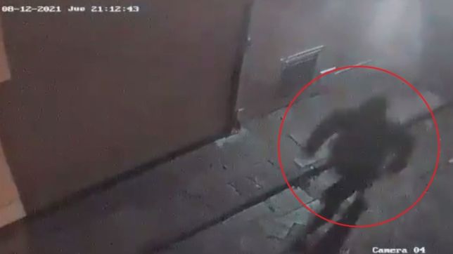 video: lo persiguio hasta el garaje de su edificio, entro con el y trato de robarle