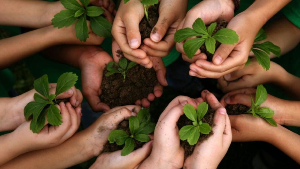 Día nacional de la conciencia ambiental: cuatro cambios que podés hacer en tu entorno