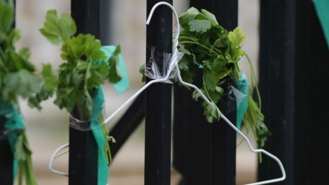 desestimaron una denuncia por aborto en la plata en el marco de la ley de despenalizacion