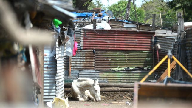 avanza la reubicacion del asentamiento de hernandez con la mudanza de mas familias
