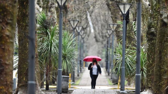 cielo cubierto, humedad y mas lluvias: ¿como va a seguir el clima en la plata?