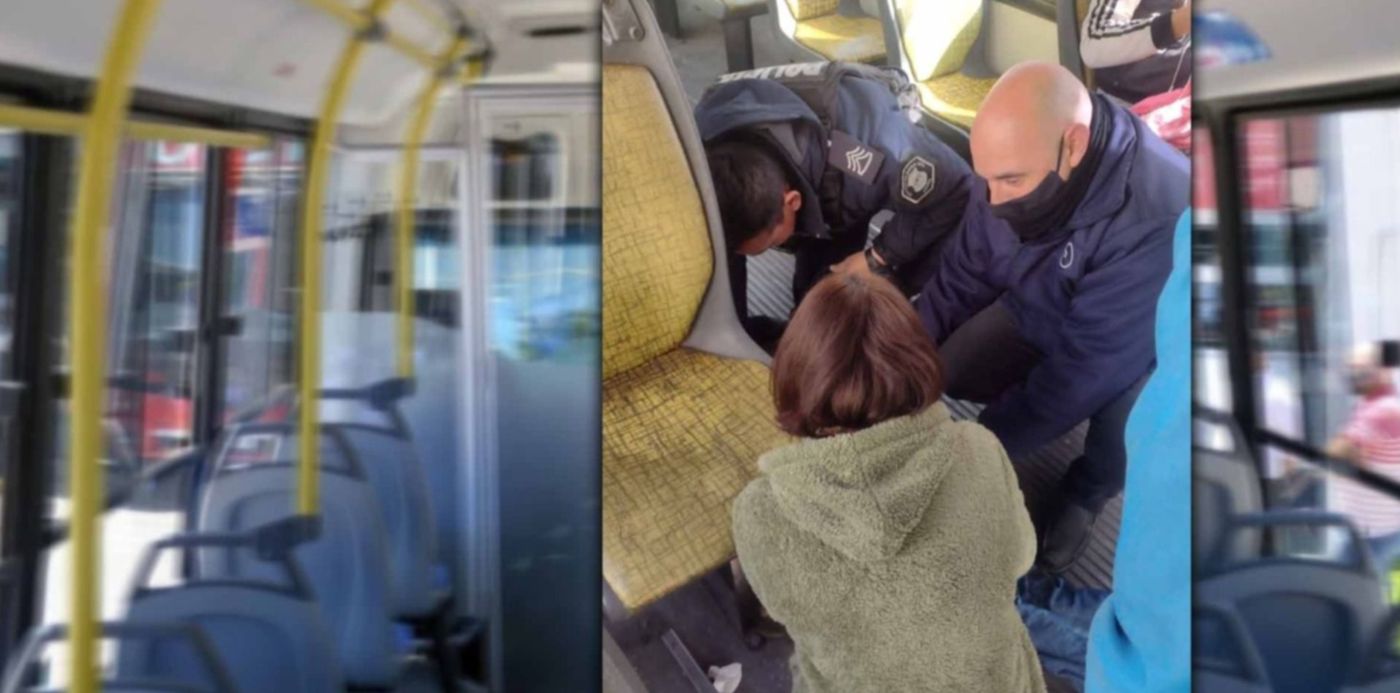 1657317590929.jpg?x=33&y=5&width=1461&height=731&rotate=0&scaleX=1&scaleY=1&ow=1500&oh=742&&cw=1920&ch=950