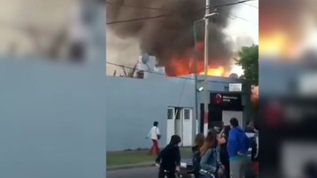 voraz incendio en la plata: una casa termino destruida y murieron tres perros