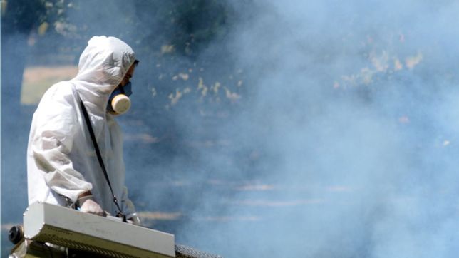 dengue en la plata: tuvieron que hacer un boquete para fumigar una casa llena de insectos