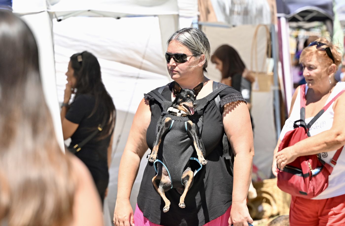 fiesta del tomate platense 2026 (11)