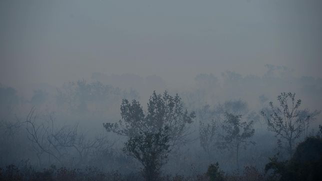 seis hectareas a la vera de la ruta 2 fueron consumidas por el fuego