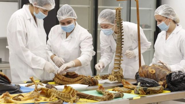 un estudiante de medicina de la unlp presenta su propio atlas de anatomia humana