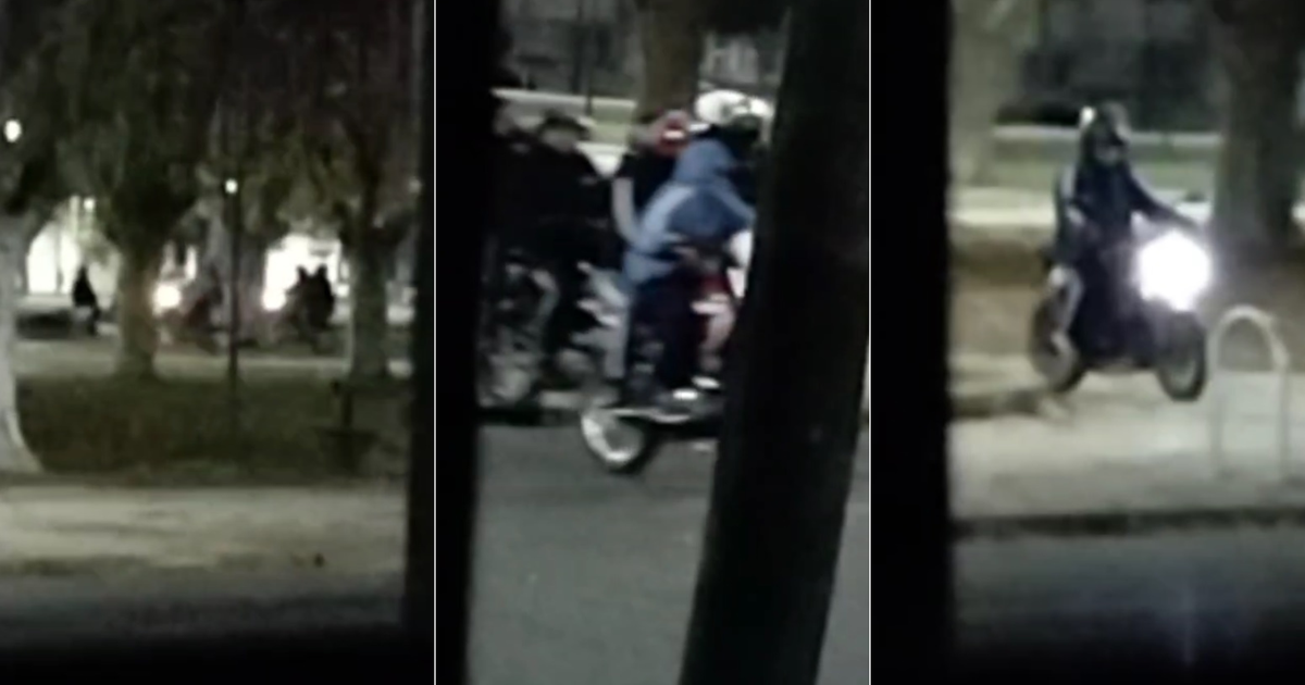 Video: descontrol en la Plaza Malvinas de La Plata por una banda de ...
