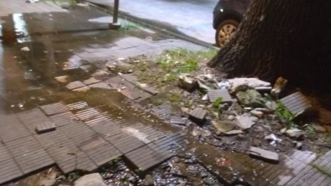 tengo una laguna en la puerta de mi casa, la queja de una vecina que exploto con absa