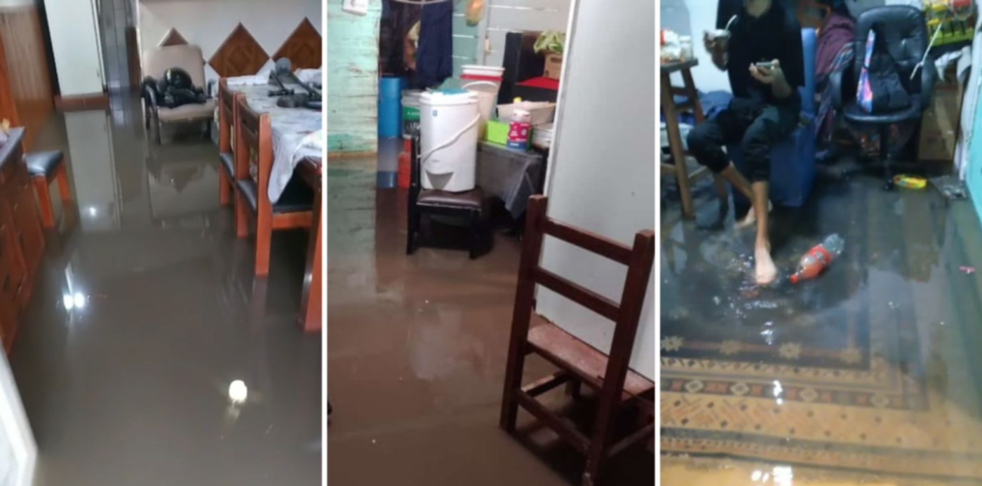 1685197179272.jpg?x=8&y=0&width=1484&height=742&rotate=0&scaleX=1&scaleY=1&ow=1500&oh=742&&cw=1920&ch=950