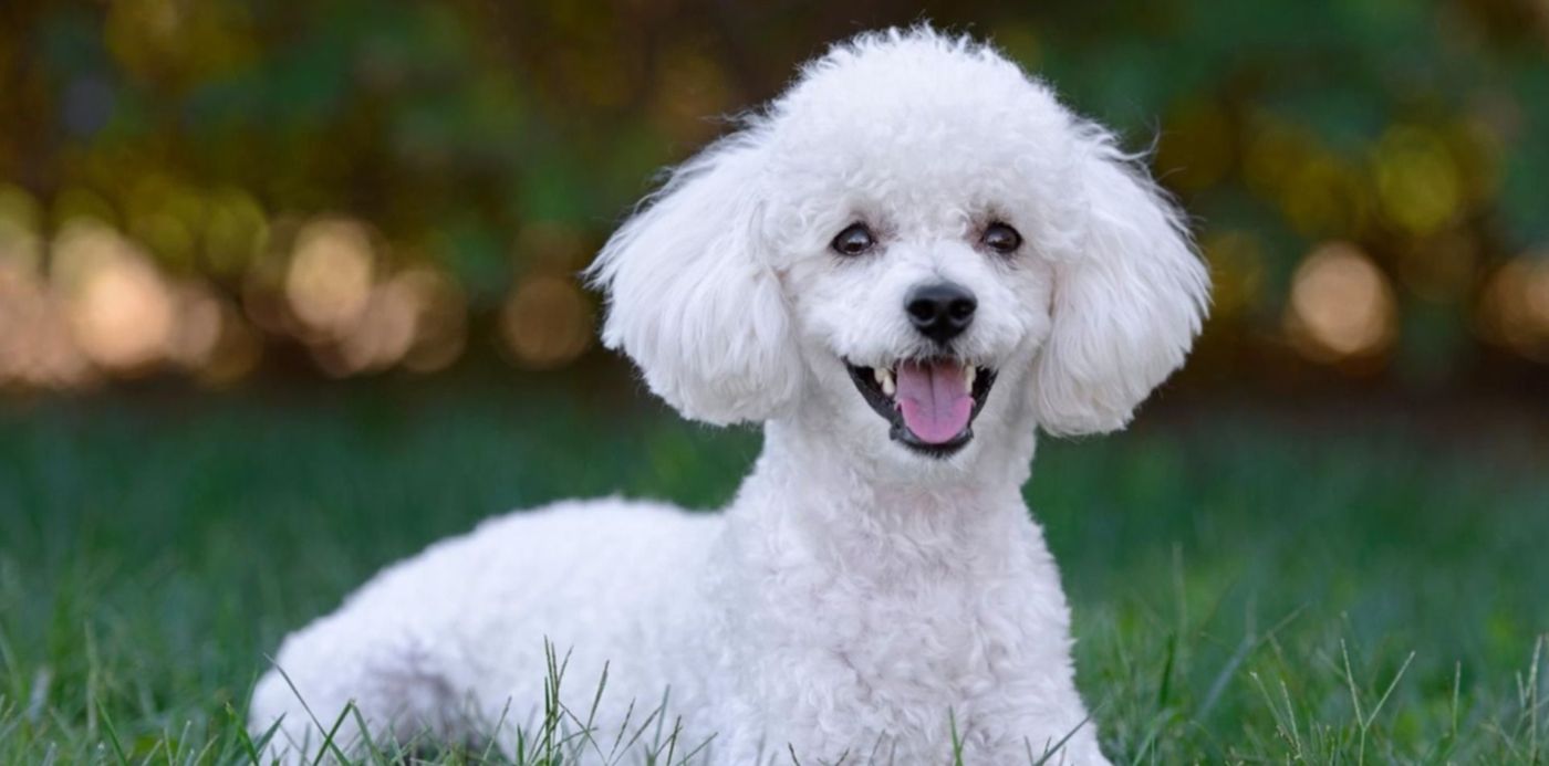 1647975713650.jpg?x=9&y=152&width=1482&height=741&rotate=0&scaleX=1&scaleY=1&ow=1500&oh=1035&&cw=1920&ch=950