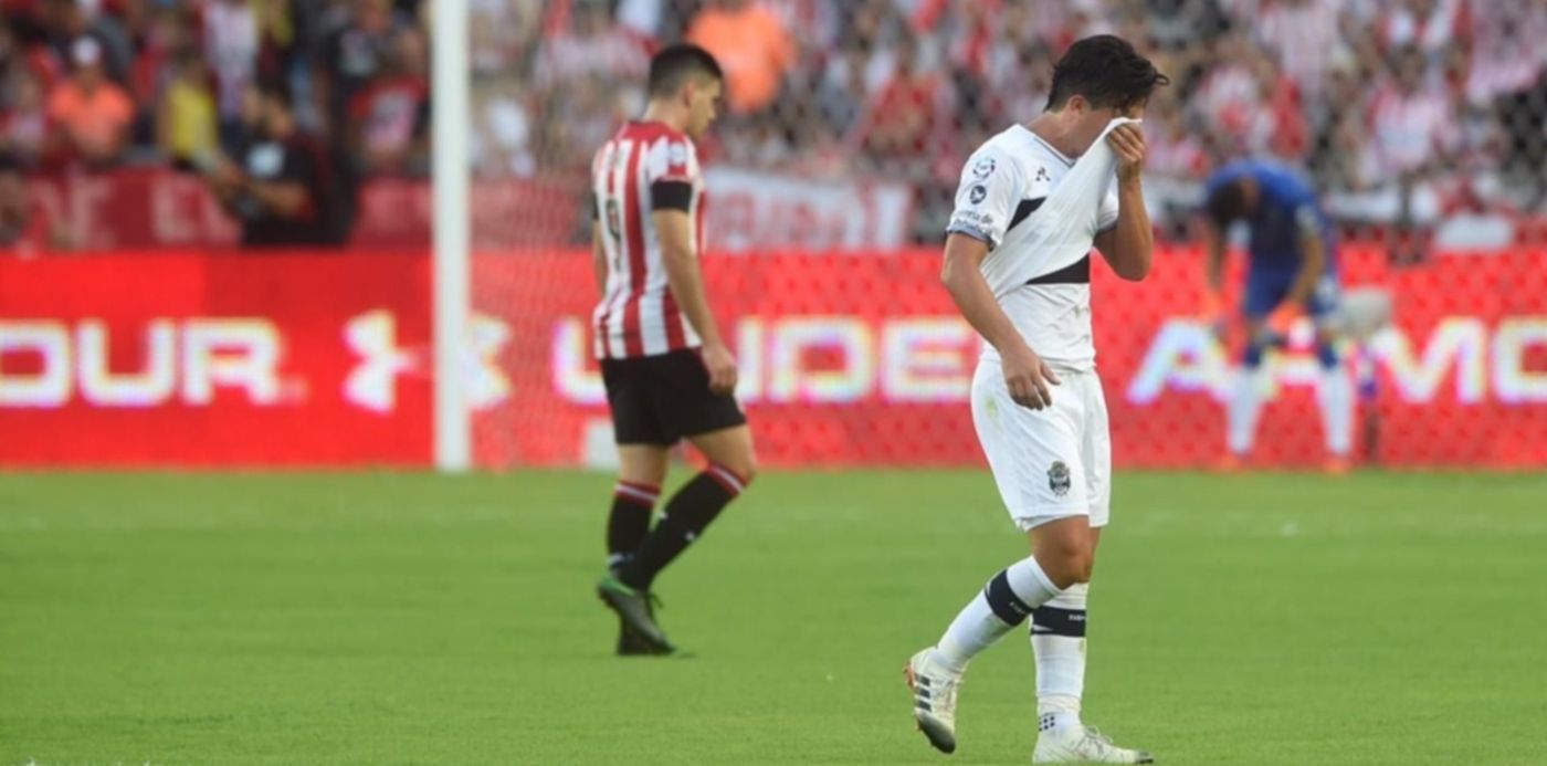 1552252065112.jpeg?width=1264&scaleX=1&scaleY=1&oh=856&x=8&y=186&height=632&rotate=0&ow=1280&&cw=1920&ch=950