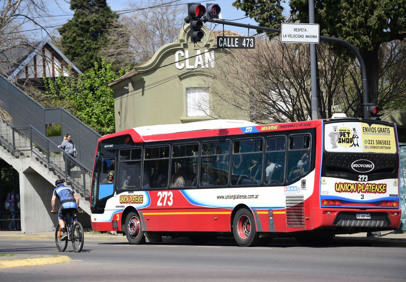 Micros Colectivos 273 (2)