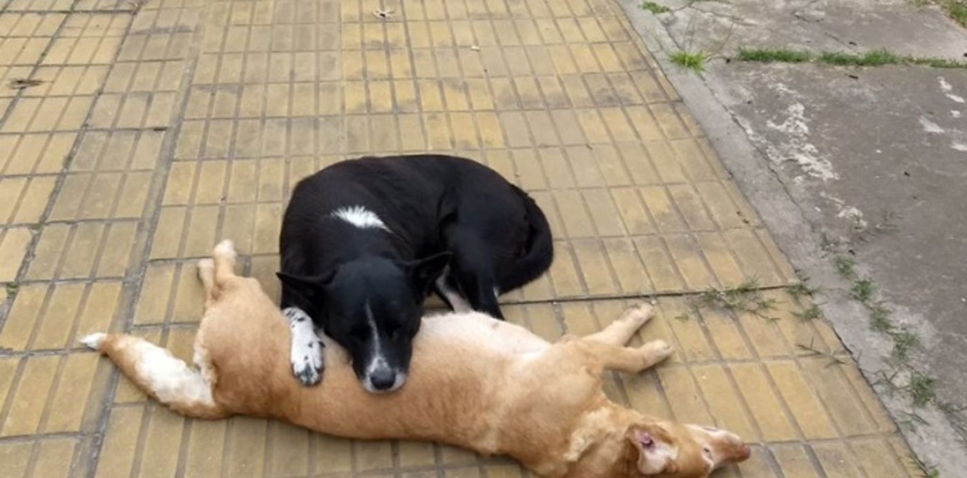 1525347916831.jpg?&cw=1920&ch=950