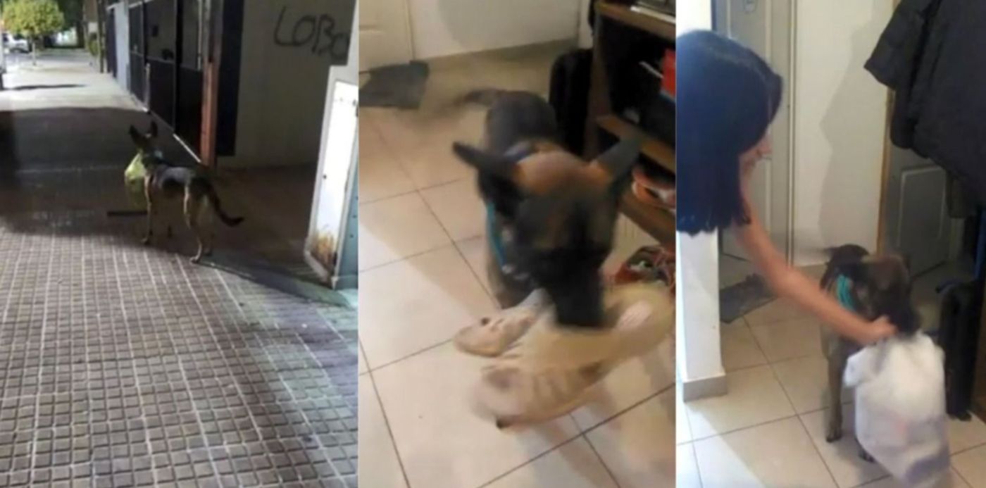 1579127850931.jpg?width=1484&height=742&rotate=0&scaleX=1&scaleY=1&ow=1500&oh=843&x=7&y=52&&cw=1920&ch=950