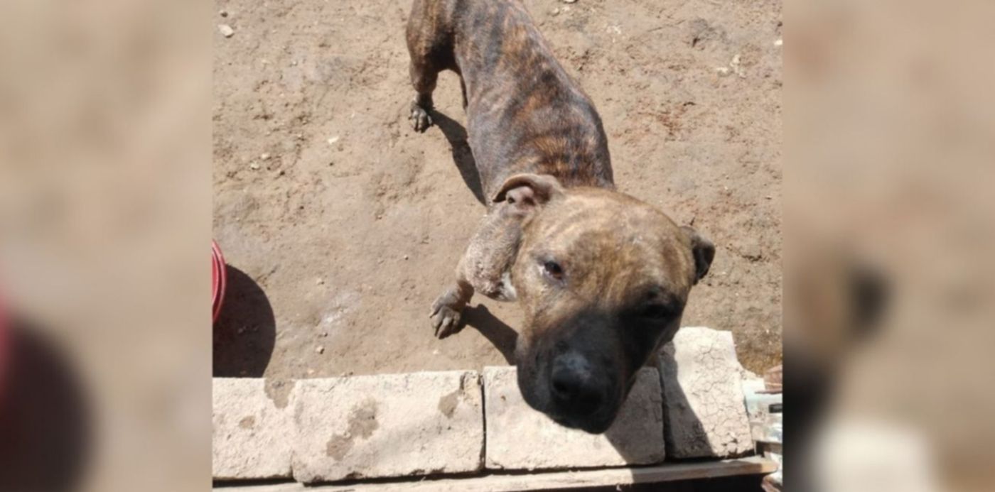 1631618930896.jpg?x=25&y=0&width=1300&height=650&rotate=0&scaleX=1&scaleY=1&ow=1350&oh=650&&cw=1920&ch=950