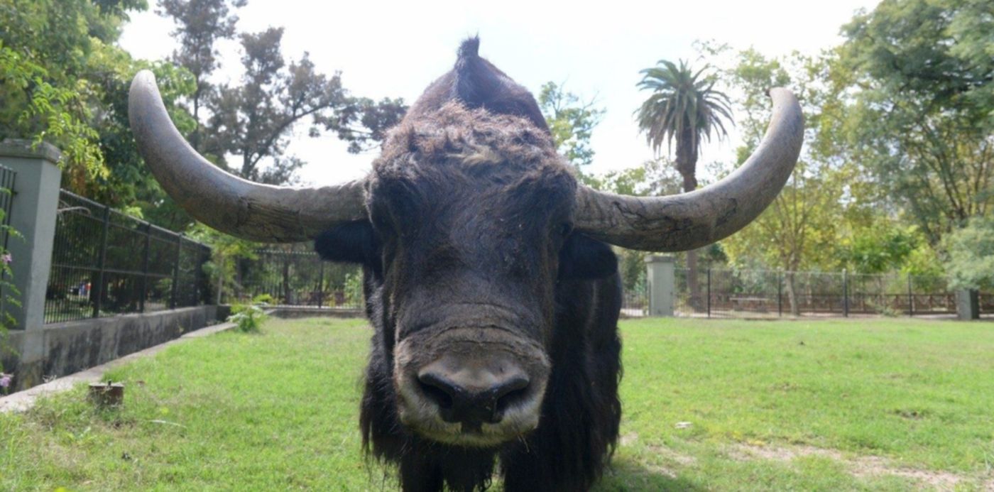 1564601949688.jpg?rotate=0&scaleX=1&scaleY=1&ow=1500&oh=858&width=1466&height=733&x=21&y=72&&cw=1920&ch=950