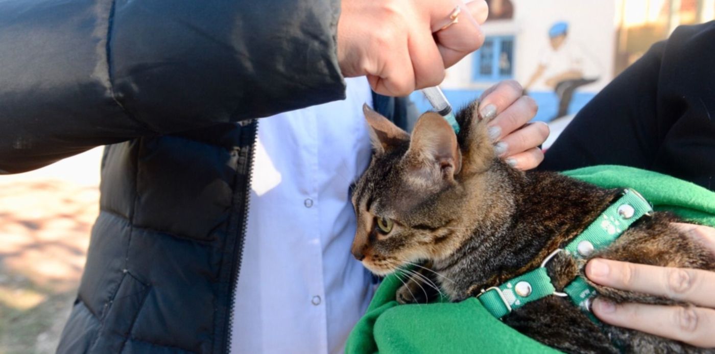 1560818210415.jpeg?y=155&width=1479&height=739&scaleY=1&ow=1500&x=11&rotate=0&scaleX=1&oh=996&&cw=1920&ch=950