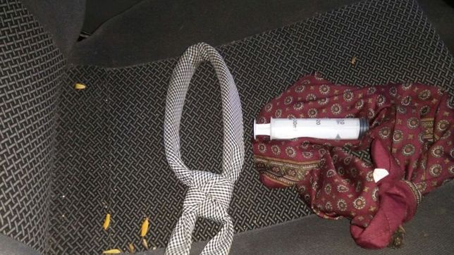 jeringas, veneno y cuchillos: cayo una banda que mataba perros para robar en casas de la plata