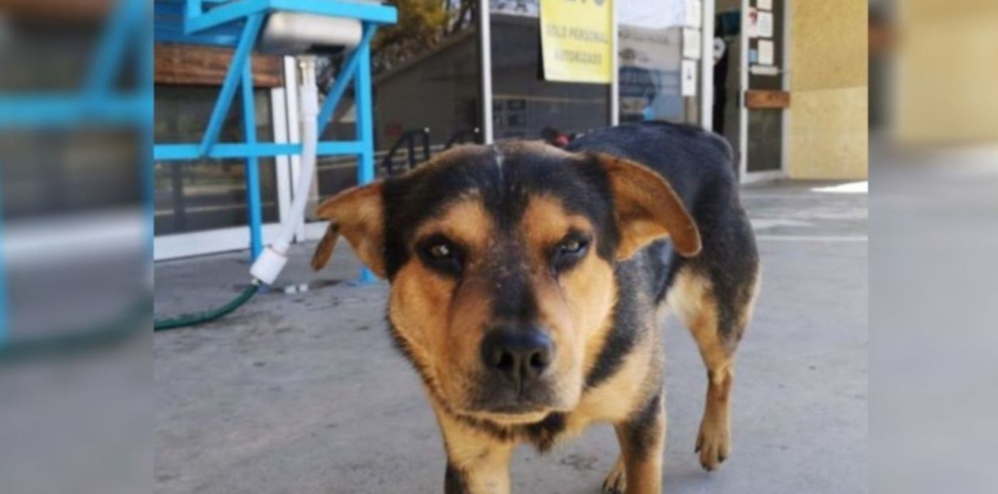 1609332761791.jpg?x=36&y=7&width=1248&height=624&rotate=0&scaleX=1&scaleY=1&ow=1350&oh=650&&cw=1920&ch=950