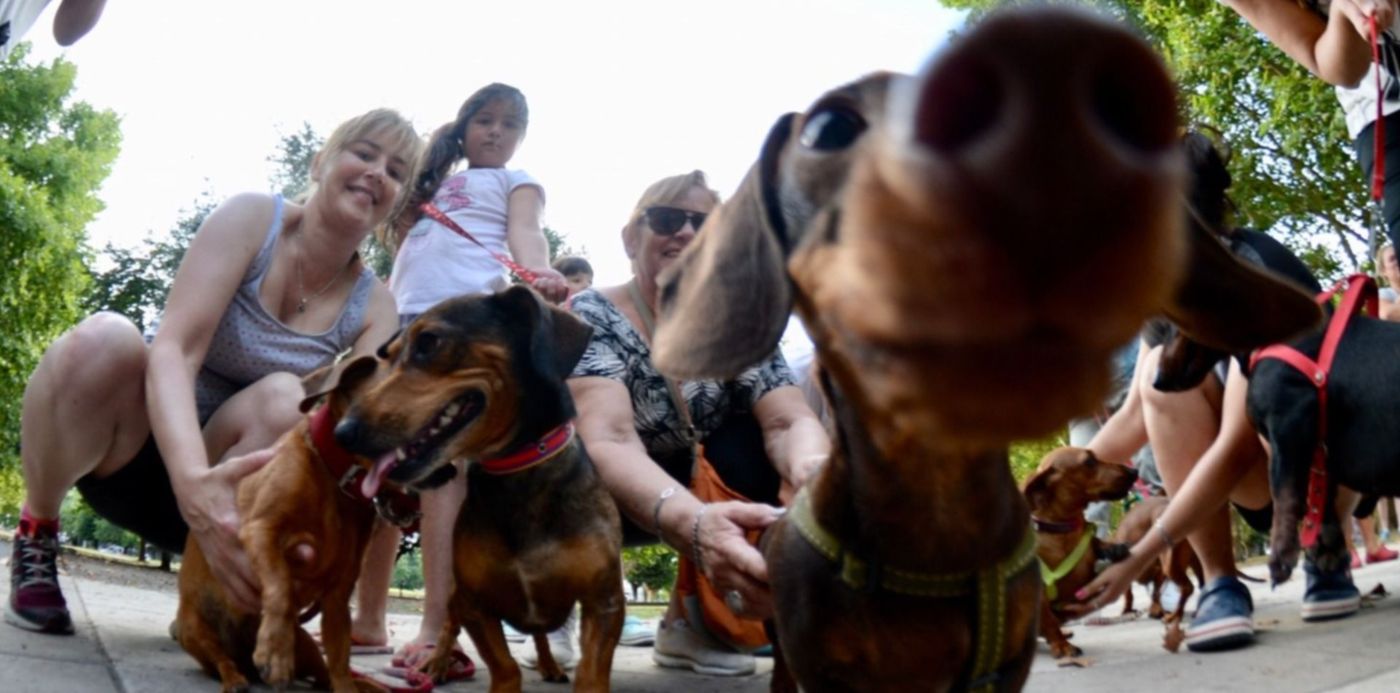 1549062793563.jpg?y=3&height=735&ow=1500&oh=967&x=21&width=1471&rotate=0&scaleX=1&scaleY=1&&cw=1920&ch=950