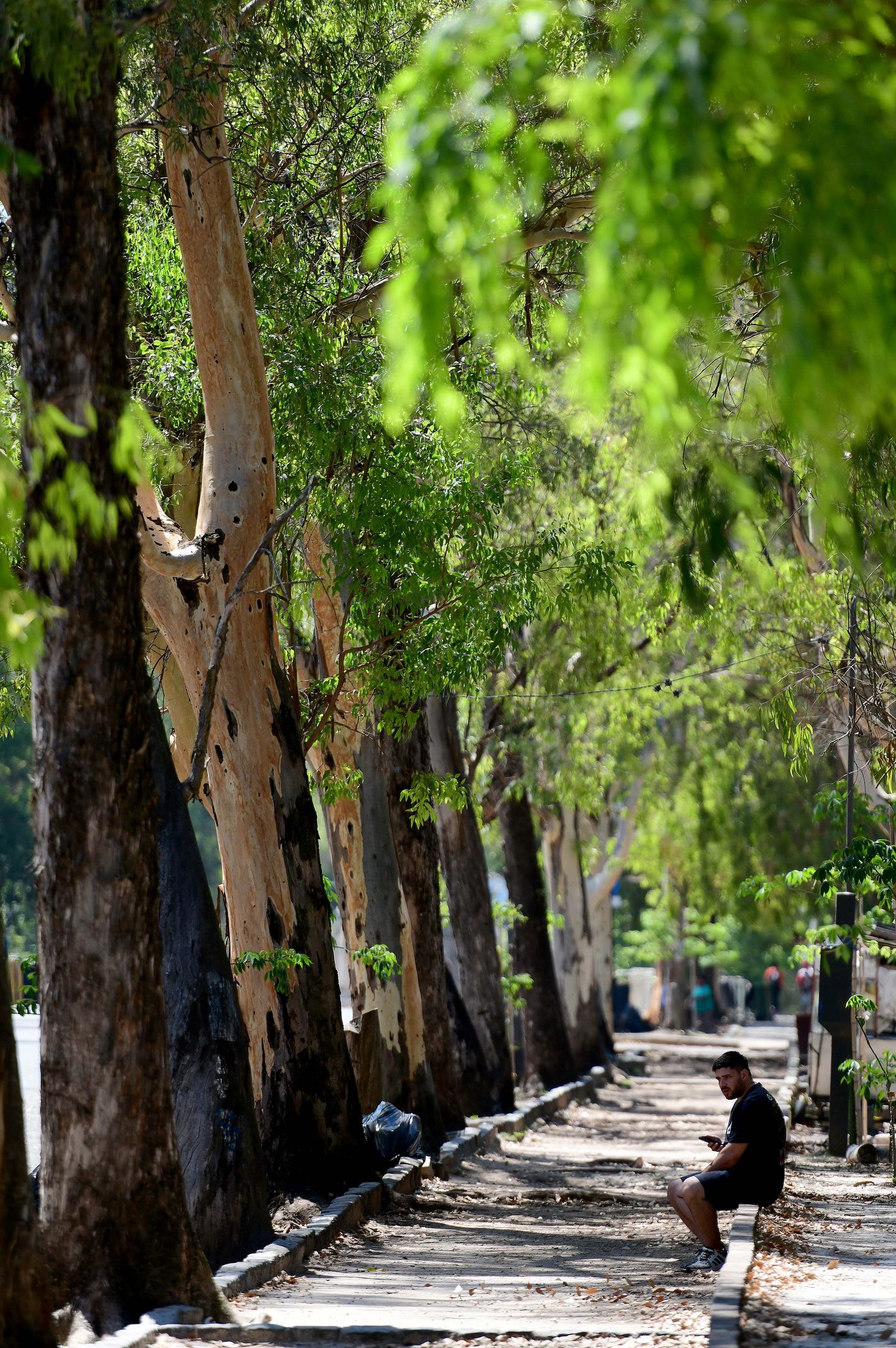 Se viene un jueves muy agradable, en la previa de un viernes gris en La Plata.