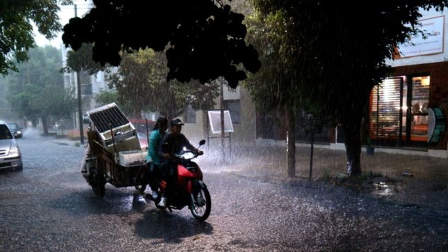 barrio por barrio, ¿cuanto llovio hasta ahora en las distintas zonas de la plata?