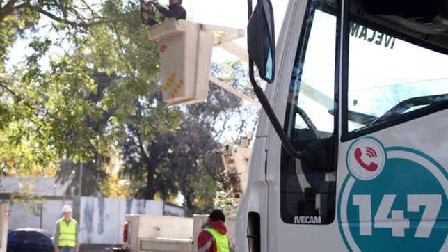 despejar luminarias, cables, camaras y semaforos, el objetivo de la nueva poda en la plata