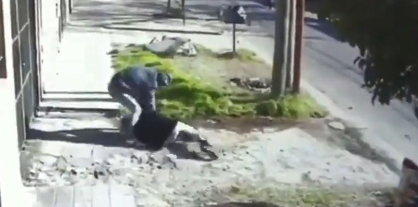 1565135078284.jpg?width=1485&scaleY=1&ow=1500&oh=792&x=7&y=19&height=743&rotate=0&scaleX=1&&cw=1920&ch=950