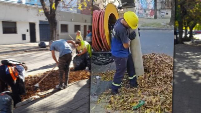 video: asi funcionan los camiones que aspiran la hojarasca de las calles de la plata