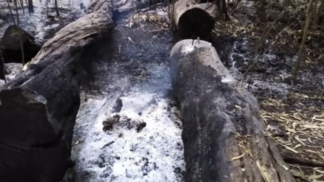 tension en el parque pereyra por un fogon que derivo en un voraz incendio