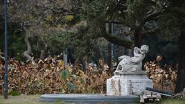 volvieron a postergar la licitacion de las obras de ampliacion del parque saavedra