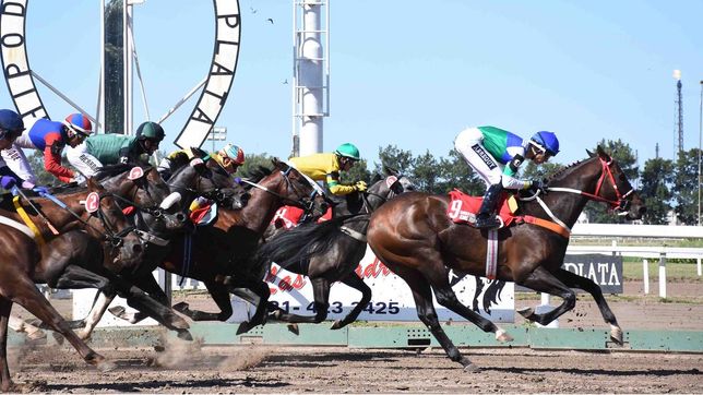 despues de varias semanas de conflicto el hipodromo de la plata vuelve a la actividad