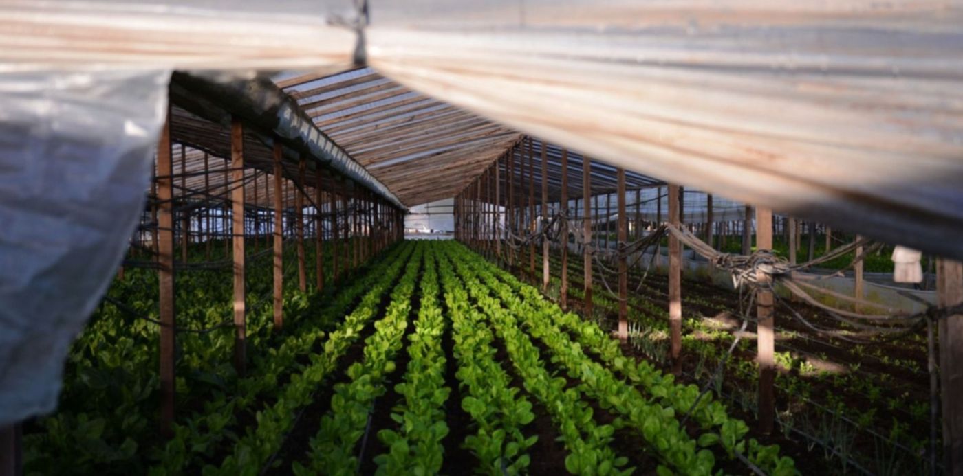 1588263945271.jpg?x=7&y=112&width=1487&height=744&rotate=0&scaleX=1&scaleY=1&ow=1500&oh=1004&&cw=1920&ch=950