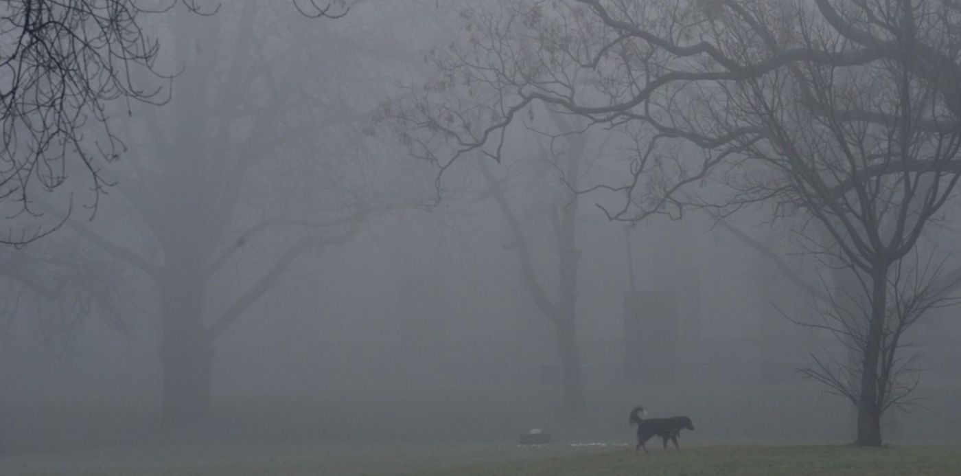 Clima Niebla Neblina