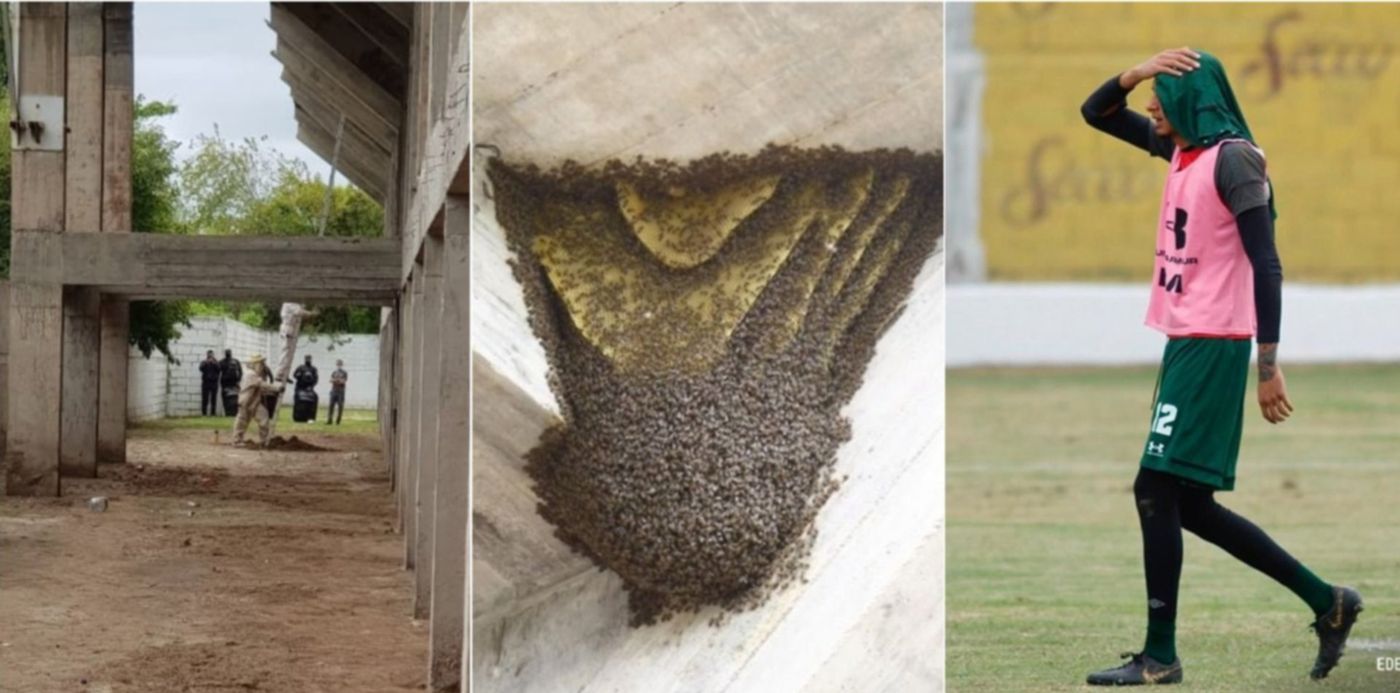 1616184139469.jpg?x=3&y=0&width=1484&height=742&rotate=0&scaleX=1&scaleY=1&ow=1500&oh=742&&cw=1920&ch=950