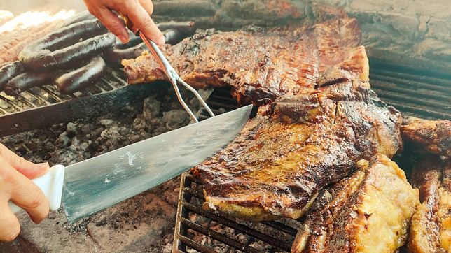 ladrones se metieron en una parrilla, la vaciaron y se llevaron hasta la carne