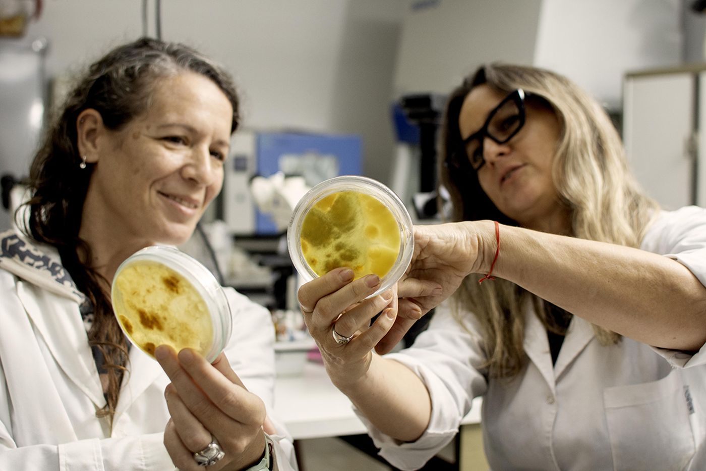 La UNLP investiga múltiples tipos de hongos y sus aplicaciones en la alimentación y salud.