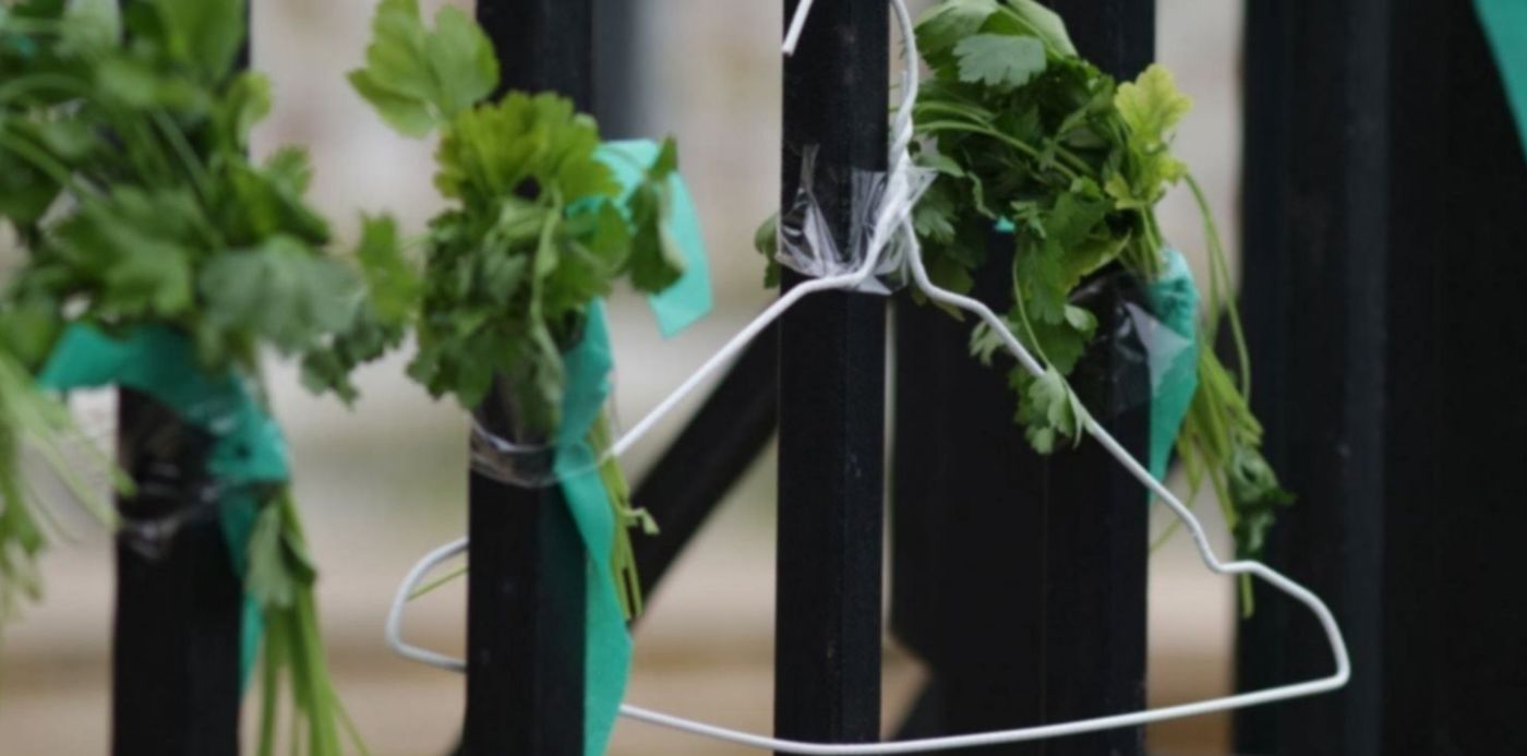 1605129870976.jpg?x=7&y=127&width=1480&height=740&rotate=0&scaleX=1&scaleY=1&ow=1500&oh=1000&&cw=1920&ch=950