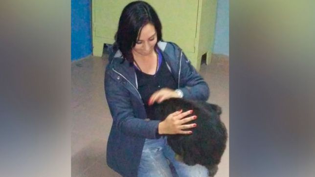 atraparon al mono que andaba suelto en la plata y ya esta a salvo en el ecas