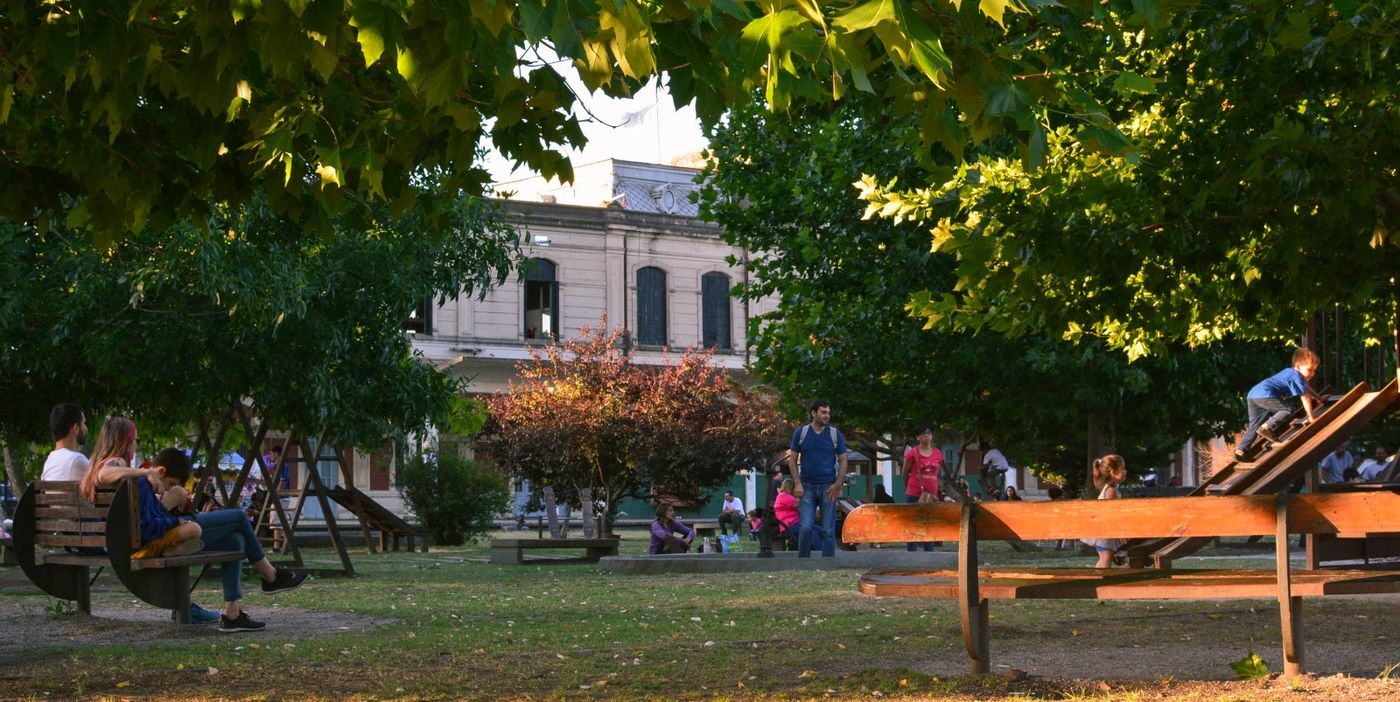 día del árbol meridiano v.jpeg