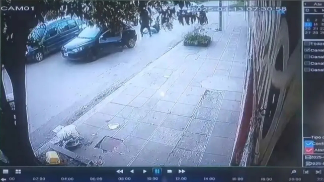 dos jovenes salieron de un boliche de berisso y recibieron una brutal paliza