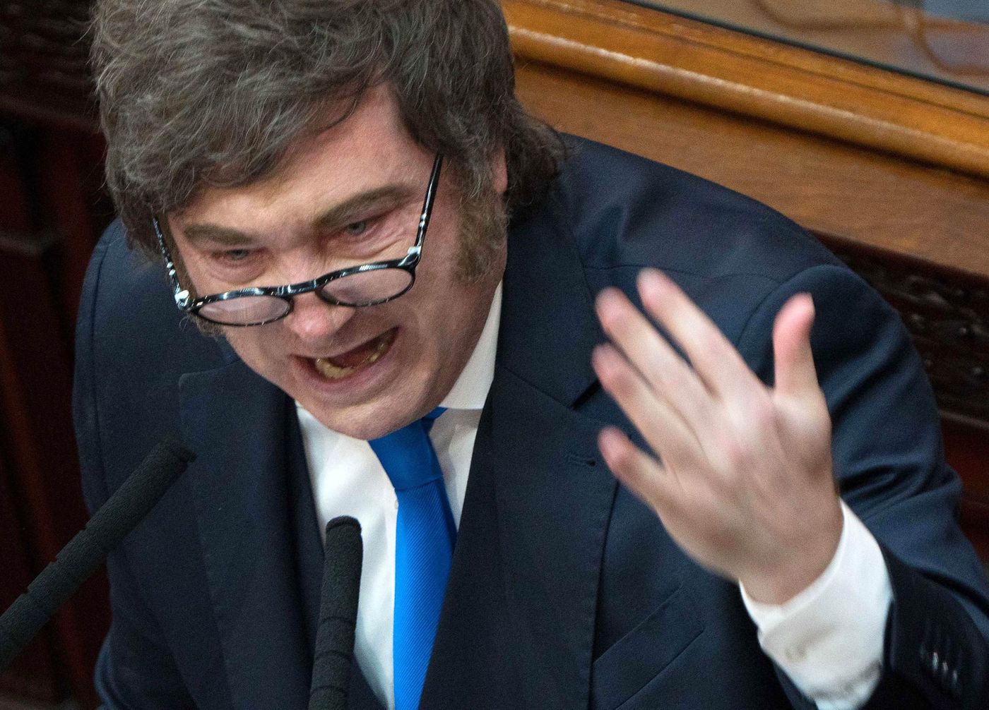 Javier Milei ante la Asamblea Legislativa para dejar inaugurado el 144° período de sesiones ordinarias.