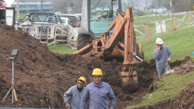 edesur, edelap y el cable 230: el plan de respaldo que podria haber evitado el apagon en la plata